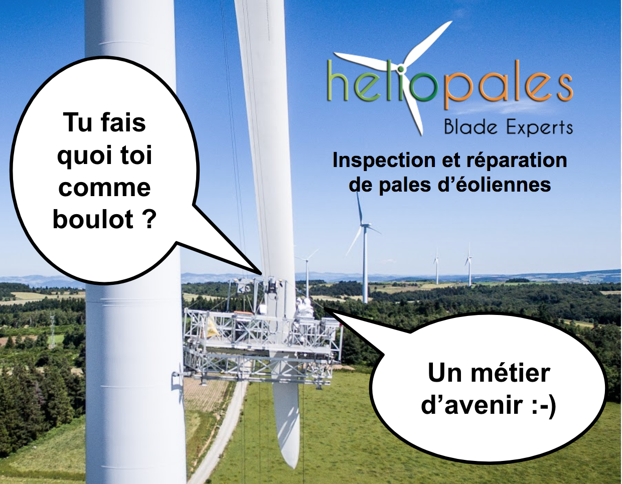 Inspection Reparation Pale Eolienne